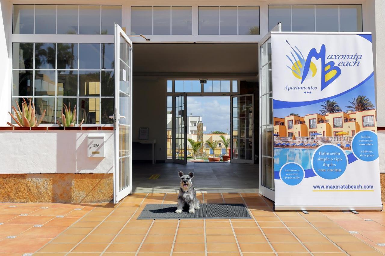 Apartamentos Maxorata Beach Corralejo Esterno foto