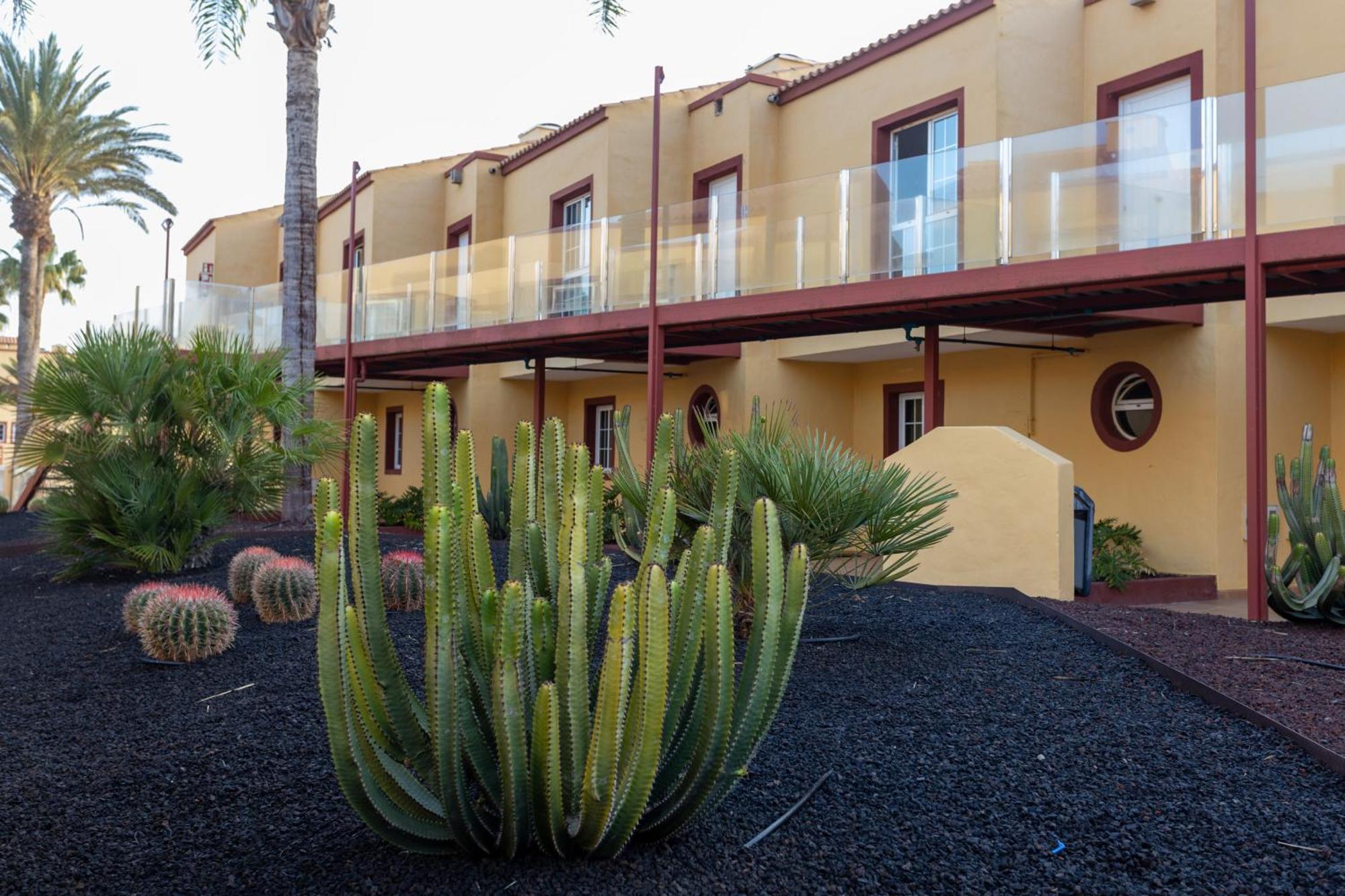 Apartamentos Maxorata Beach Corralejo Esterno foto