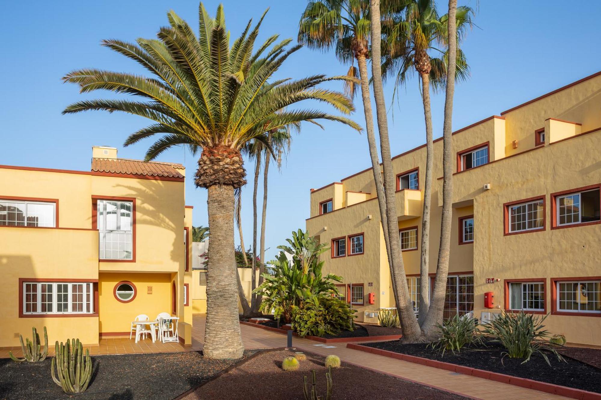 Apartamentos Maxorata Beach Corralejo Esterno foto